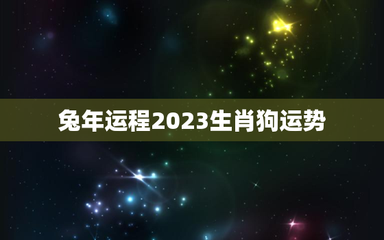 兔年运程2023生肖狗运势，2021年属兔狗人的全年运势