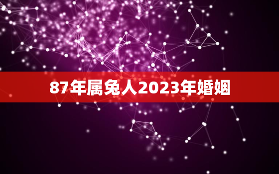 87年属兔人2023年婚姻，87年属兔2023年婚姻情况