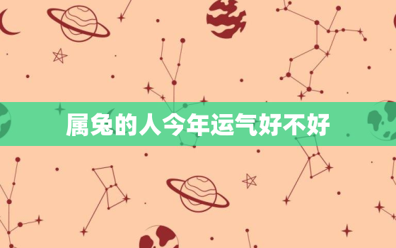 属兔的人今年运气好不好，87年属兔36岁必有一死