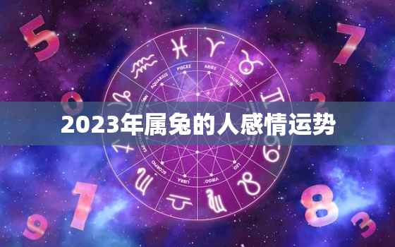 2023年属兔的人感情运势，2023年属兔的运程