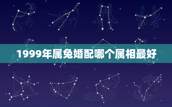 1999年属兔婚配哪个属相最好，1999年属兔的婚配表