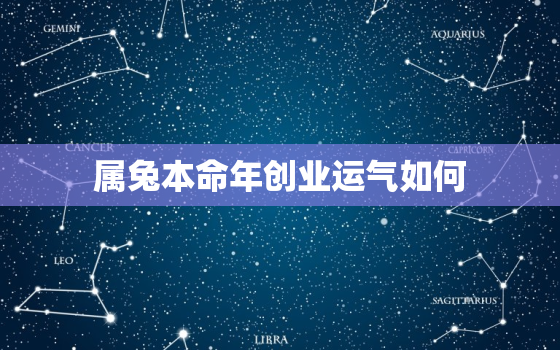 属兔本命年创业运气如何，属兔本命年运气好不好