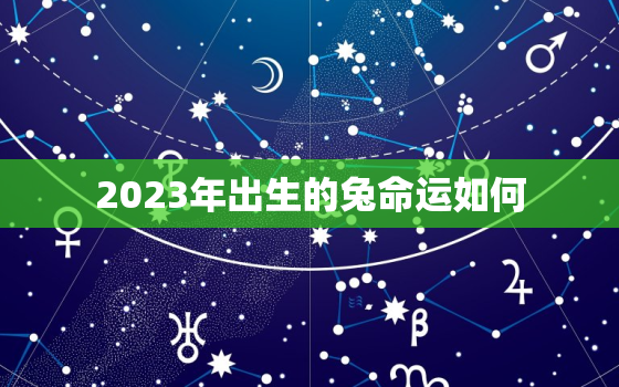 2023年出生的兔命运如何，2023年兔年命咋样