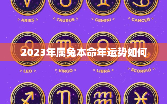 2023年属兔本命年运势如何，2023年属兔本命年命运如何