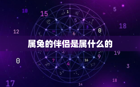 属兔的伴侣是属什么的，属兔的良配