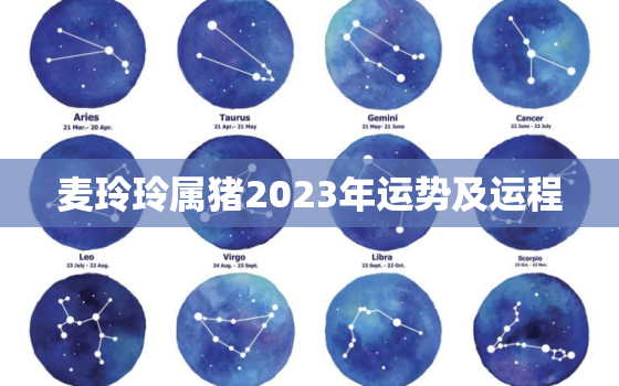 麦玲玲属猪2023年运势及运程，202年属猪运程麦玲