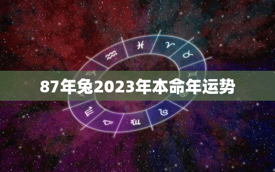 87年兔2023年本命年运势，87年兔2023年本命年运势及运程每月运程