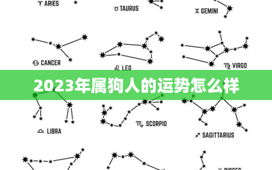 2023年属狗人的运势怎么样，2023年属狗的运气怎么样