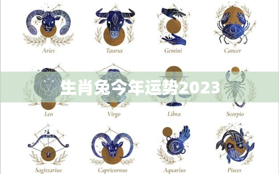 生肖兔今年运势2023，生肖兔今年运势查询