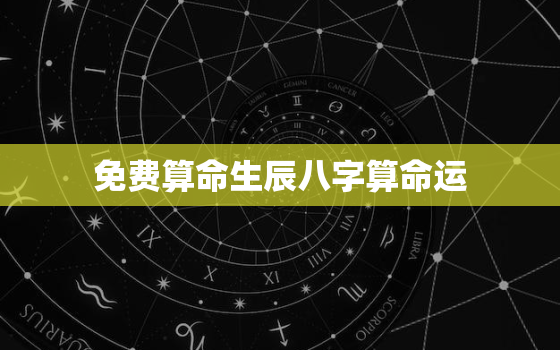 免费算命生辰八字算命运，算命免费 生辰八字 婚姻,事业2021