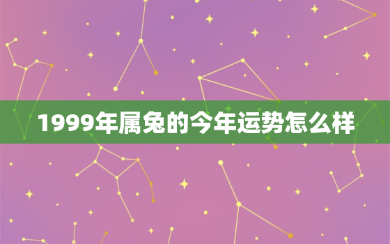 1999年属兔的今年运势怎么样，1999年属兔的今年运势怎么样呢