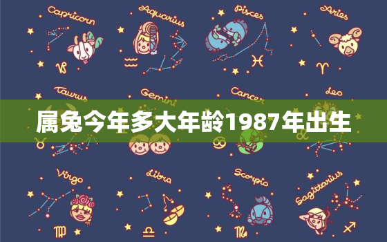 属兔今年多大年龄1987年出生，属兔的今年多大几几年生的