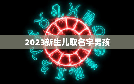 2023新生儿取名字男孩，2020年新生
取名字男孩