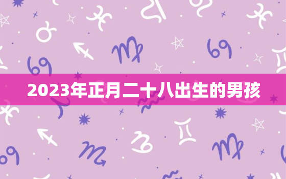 2023年正月二十八出生的男孩，2023年农历正月二十
是几月几号