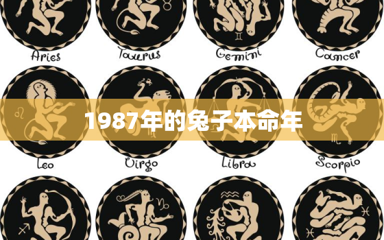 1987年的兔子本命年，1987年的兔子本命年运势