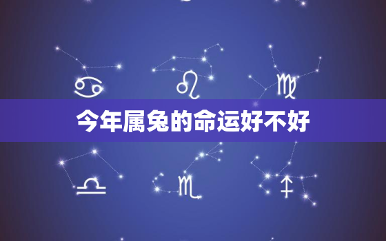 今年属兔的命运好不好，今年属兔的人运气好不好