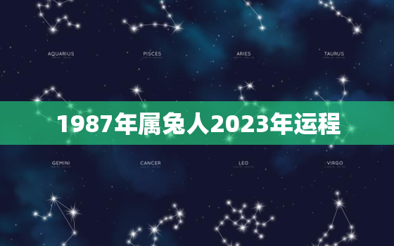 1987年属兔人2023年运程，1987年属兔2023年运势每月运势