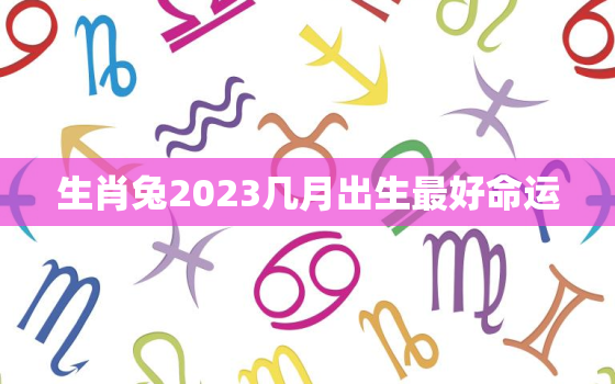 生肖兔2023几月出生最好命运，2023属兔几月出生最有福气