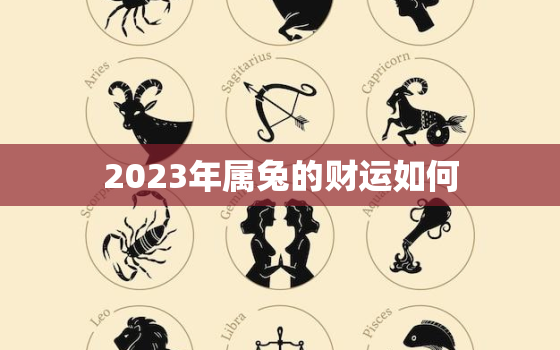 2023年属兔的财运如何，2023年属兔的财运如何