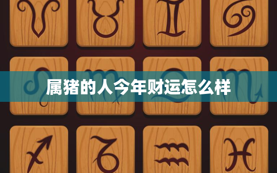 属猪的人今年财运怎么样，属猪的人今年财运怎么样啊