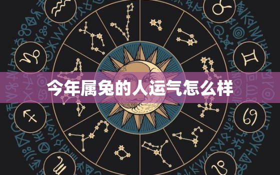 今年属兔的人运气怎么样，87年属兔36岁必有一死