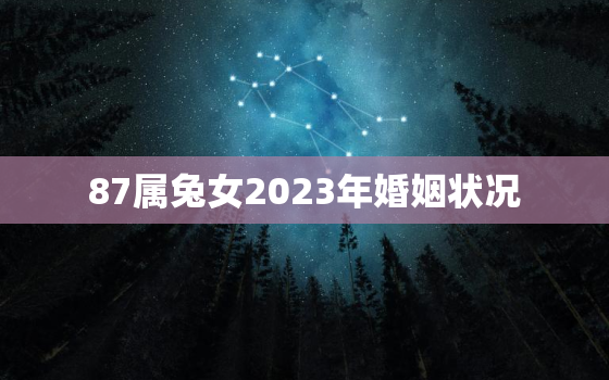 87属兔女2023年婚姻状况，87年属兔2023年婚姻状况如何