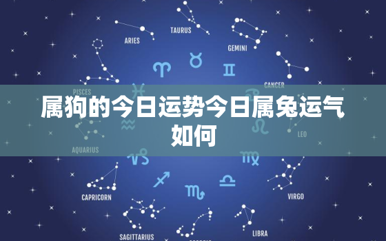 属狗的今日运势今日属兔运气如何，属狗的今日运势_生肖狗今日运程_属狗人今日财运_事