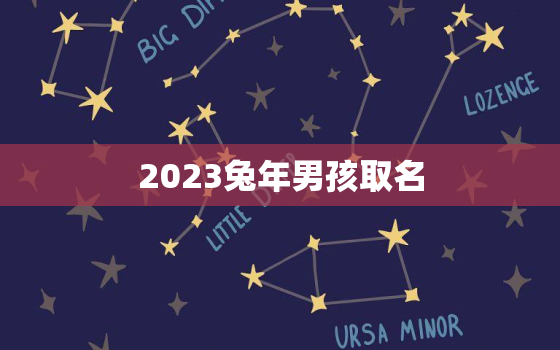 2023兔年男孩取名，2023兔年男孩取名大全