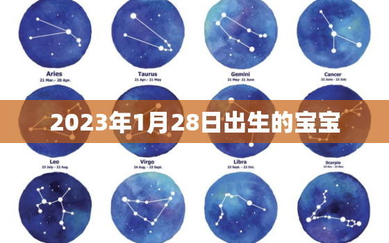 2023年1月28日出生的宝宝，2023年1月28号