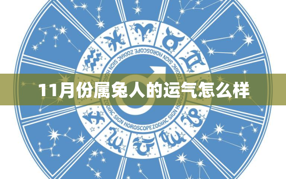 11月份属兔人的运气怎么样，11月份属兔人财运如何