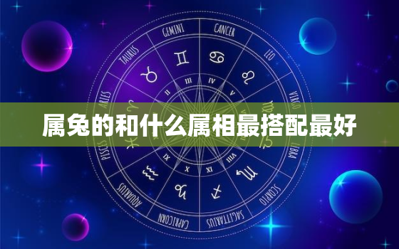 属兔的和什么属相最搭配最好，属兔的跟什么属相最般配