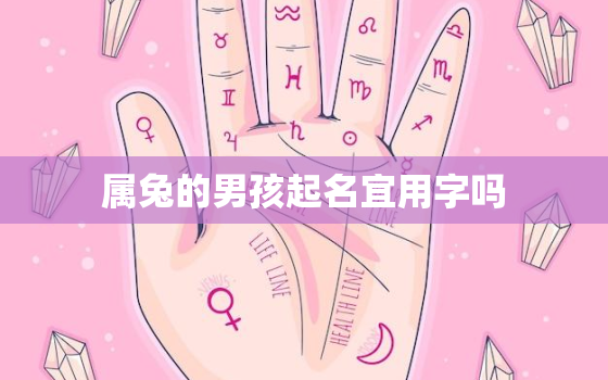 属兔的男孩起名宜用字吗，适合属兔男孩的名字