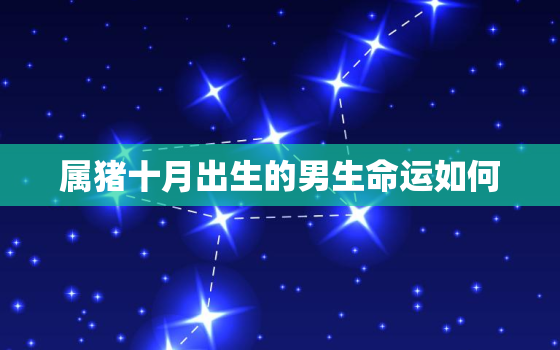 属猪十月出生的男生命运如何，属猪的十月份男孩是什么命