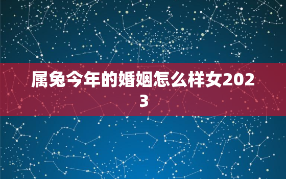 属兔今年的婚姻怎么样女2023，属兔今年婚姻运势如何