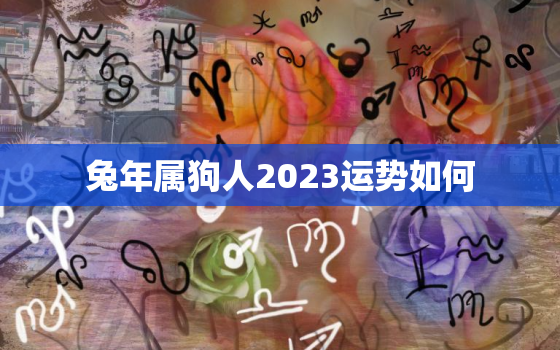 兔年属狗人2023运势如何，属狗在2023年兔年运势