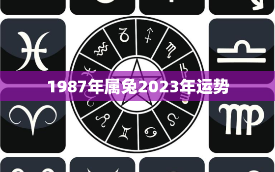 1987年属兔2023年运势，1987年属兔2023年运势及运程详解