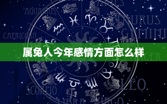 属兔人今年感情方面怎么样，属兔人今年姻缘怎么样