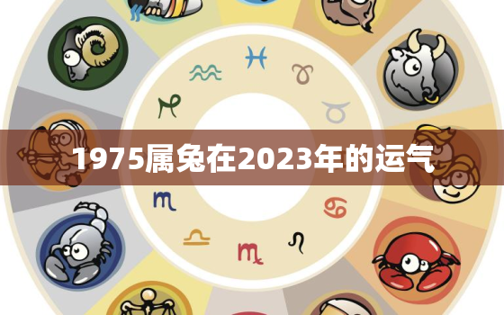 1975属兔在2023年的运气，1975属兔2023年48岁以后运气