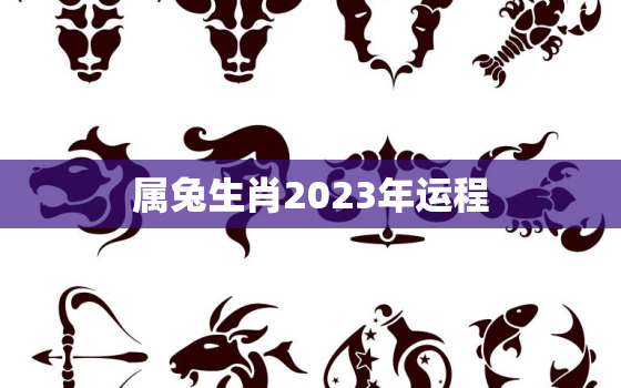 属兔生肖2023年运程，属兔2023年运势
