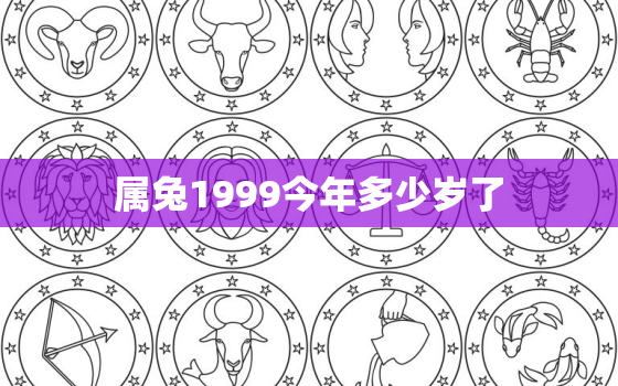 属兔1999今年多少岁了，1999属兔今年多大岁数2021