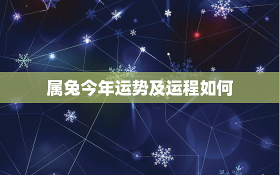 属兔今年运势及运程如何，属兔今年运势2021年运势如好不好