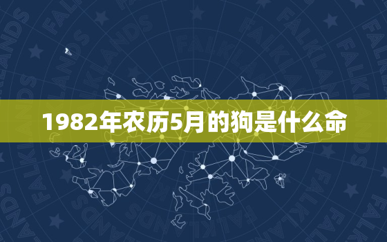 1982年农历5月的狗是什么命，1982年农历五月份出生的是什么星座