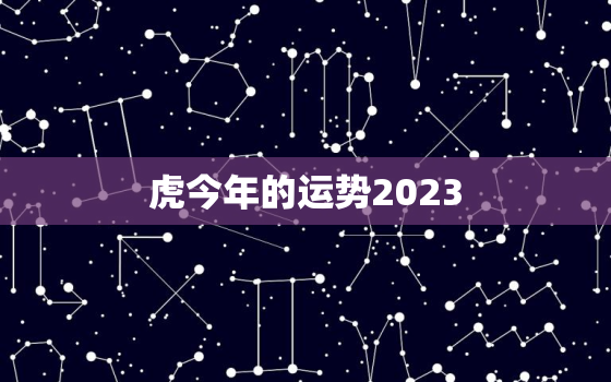 虎今年的运势2023，虎今年的运势如何