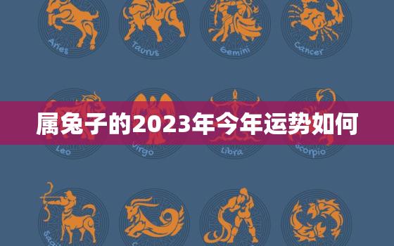 属兔子的2023年今年运势如何，属兔2023年的全年运势