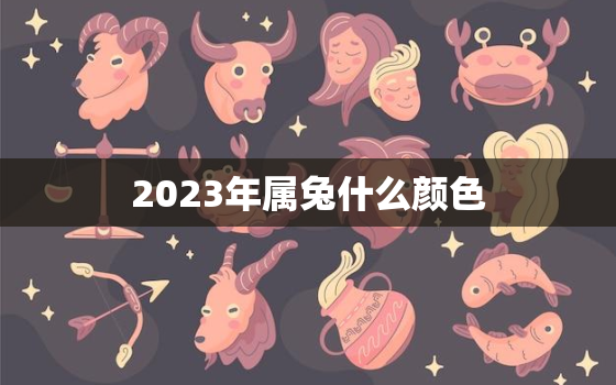 2023年属兔什么颜色，2023年属兔是什么颜色的兔