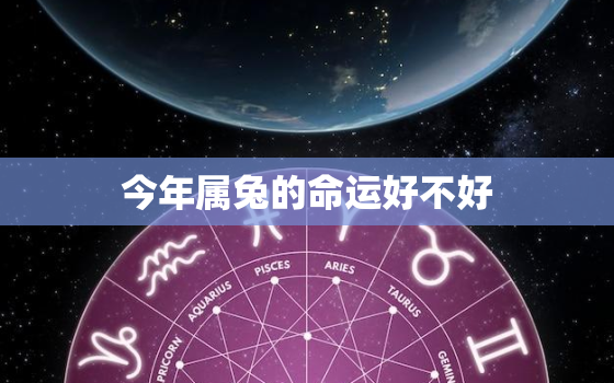 今年属兔的命运好不好，今年属兔的命运好不好呢