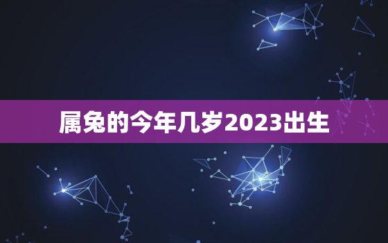 属兔的今年几岁2023出生，属兔的今年多大2022