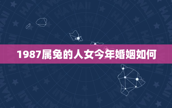 1987属兔的人女今年婚姻如何，1987的兔女今年的婚姻如何