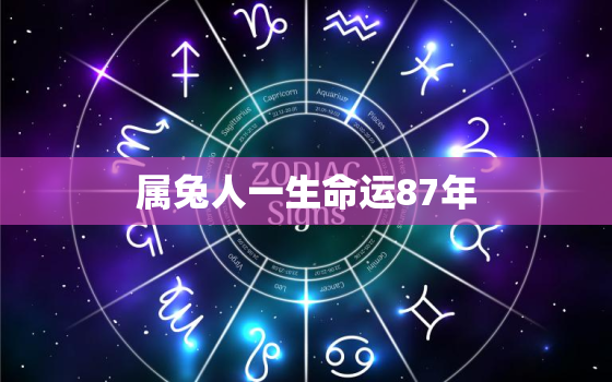 属兔人一生命运87年，属兔87年一生运势