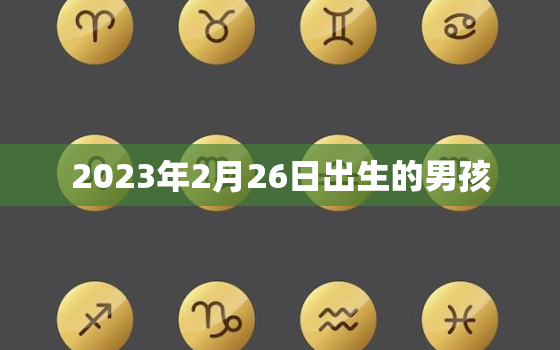 2023年2月26日出生的男孩，2022年2月23日出生